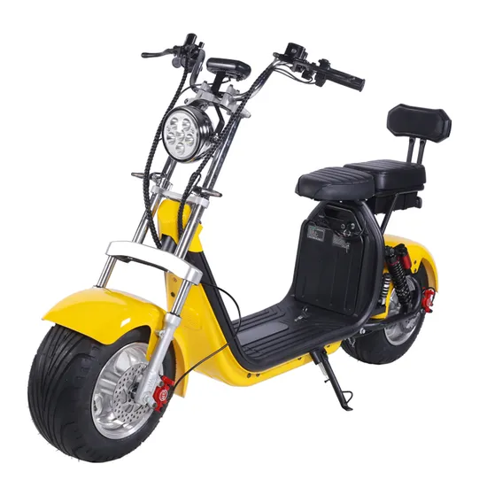 Citycoco Scooter eléctrico de 2 ruedas con neumático grueso Popular 2000W 60V CE con batería de litio extraíble 1500W-2000W 30-50km/H 6-8h